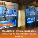 Tela Marine: ciencia, ballenas y arrecifes al alcance de toda la familia