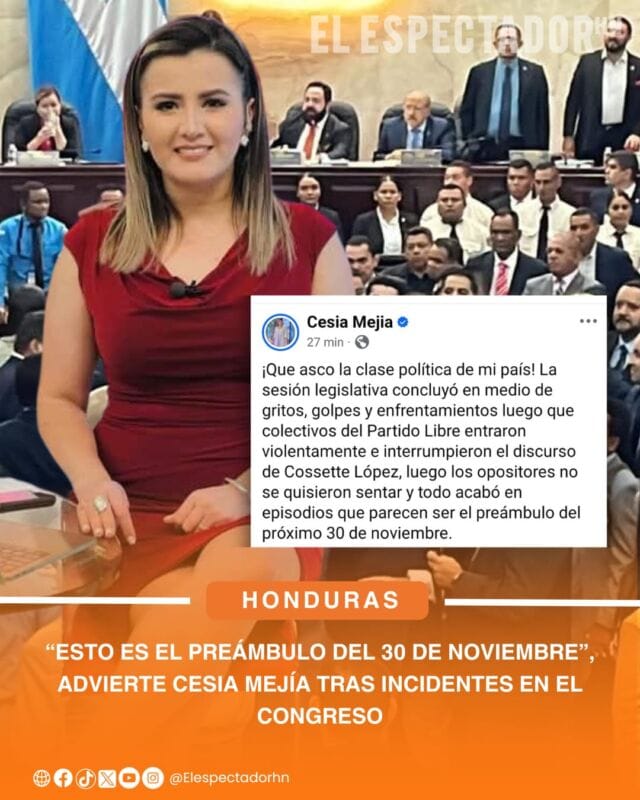Esto Advierte Cesia Mejía tras incidentes en el Congreso Nacional “Esto es el preámbulo del 30 de noviembre”