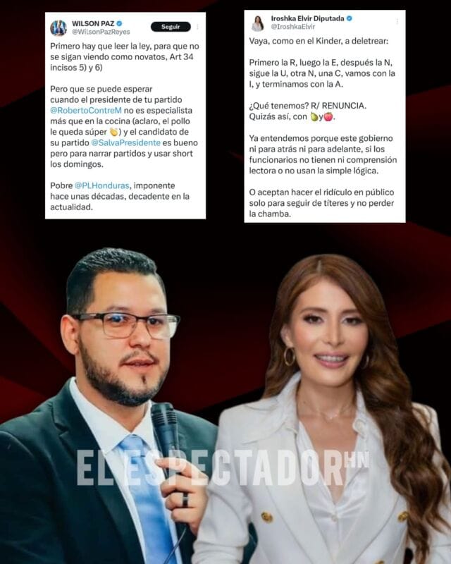 Iroshka Elvir a Wilson Paz: “Aceptan hacer el ridículo solo por no perder la chamba”