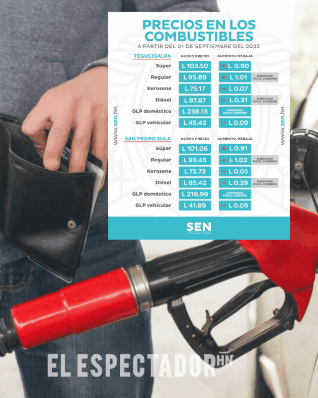 Combustibles