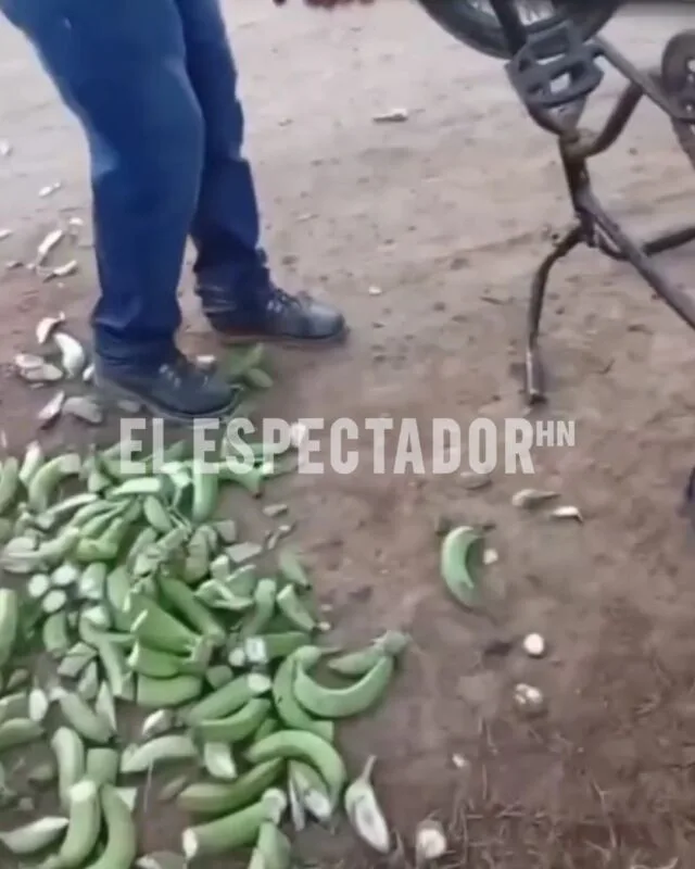 Oficial de seguridad privada ocasiona daños materiales a ciudadano en la Lima, Cortés
