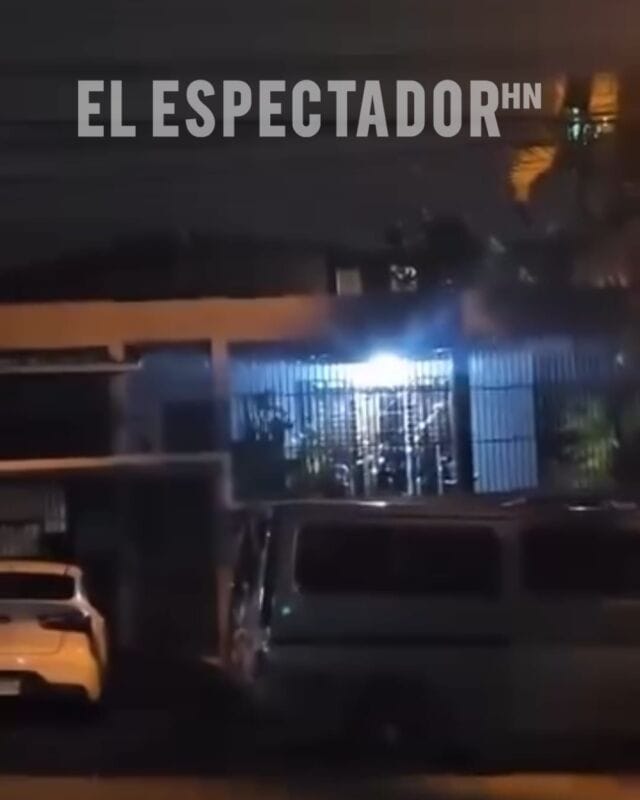 Maltrato animal: Vecinos denuncian a hombre por golpear a cachorros en Lomas de Toncontín