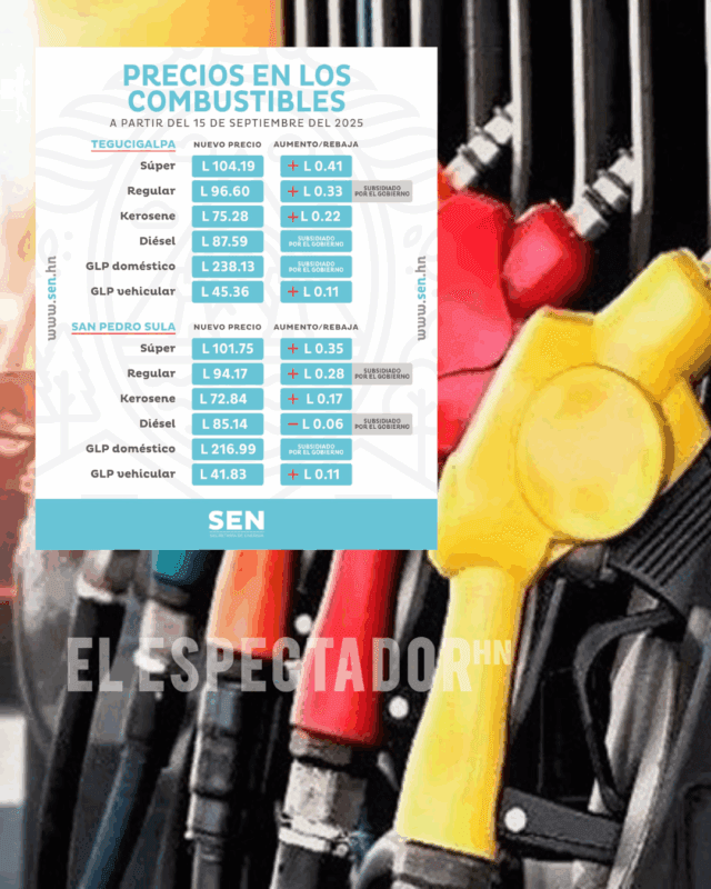 Combustibles 
