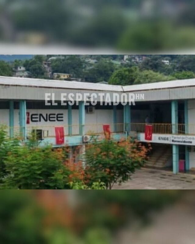 Sindicato de la ENEE exige respeto y rechaza propaganda partidaria en sus instalaciones