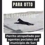 Patrulla de la Policía Nacional atropella a un perro en San Buenaventura
