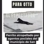 Patrulla de la Policía Nacional atropella a un perro en San Buenaventura