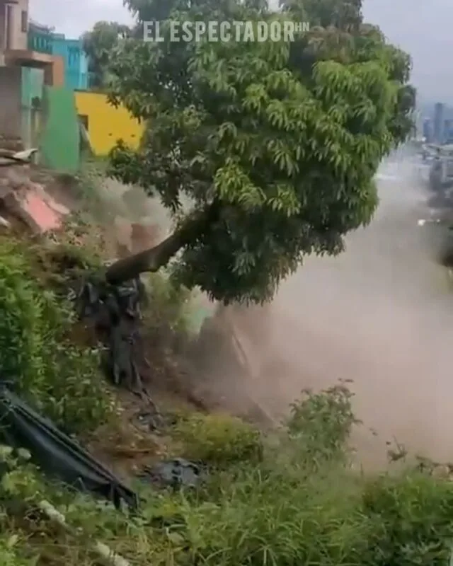 Se repite la historia: más casas se derrumban en la colonia Guillén tras fuertes tormentas