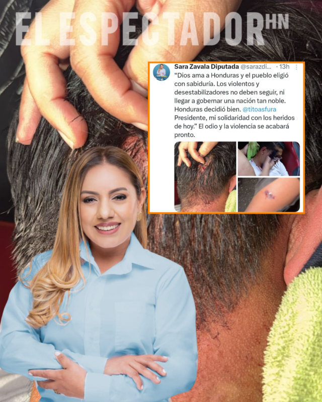 Sara Zavala condenó el ataque y defendió militantes nacionalistas hondureños.
