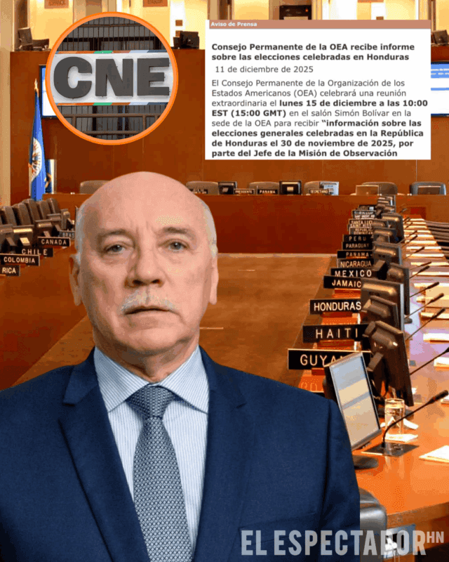 OEA presentará informe del desarrollo de las elecciones en Honduras