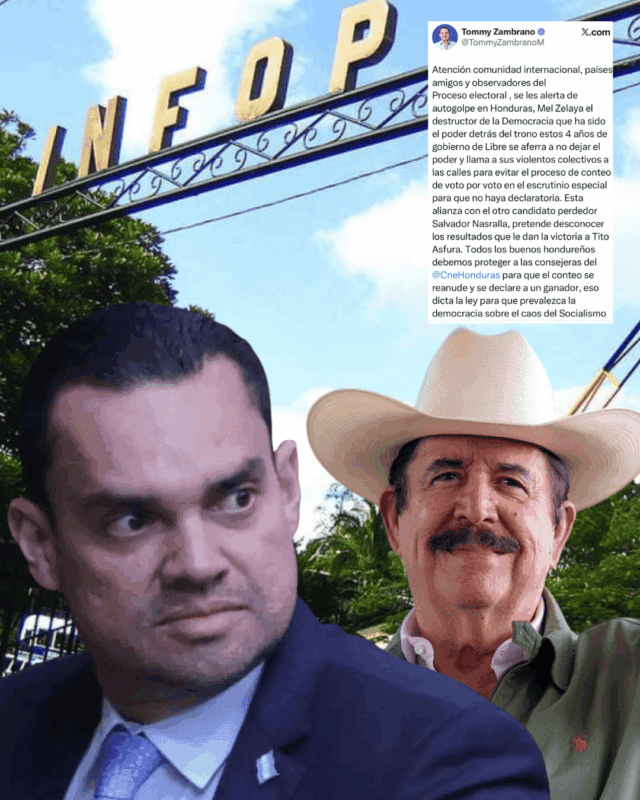 Mayra - 2025-12-15T142430 Mayra - 2025-12-15T142430