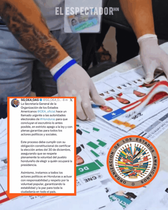 OEA exige al CNE finalizar el escrutinio especial en Honduras