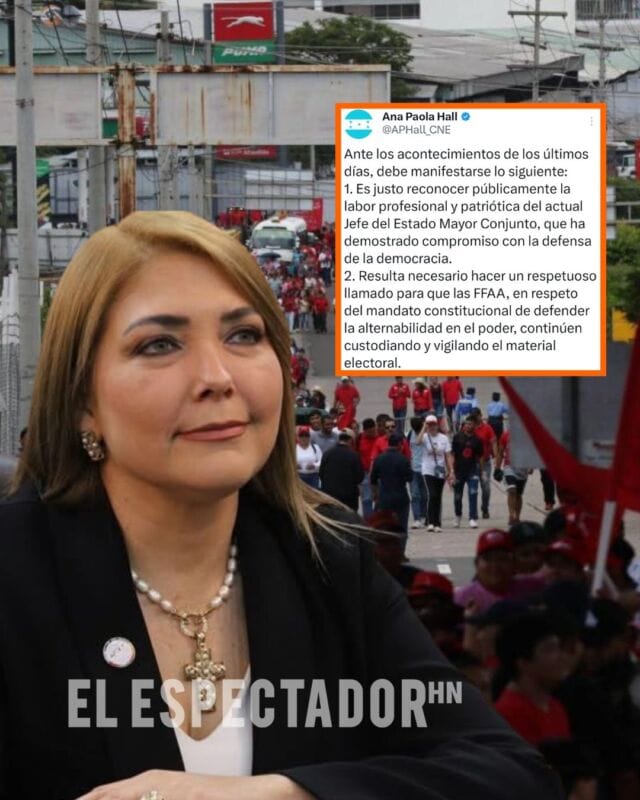 Ana Paola Hall asegura que el CNE seguirá defendiendo la legalidad electoral.