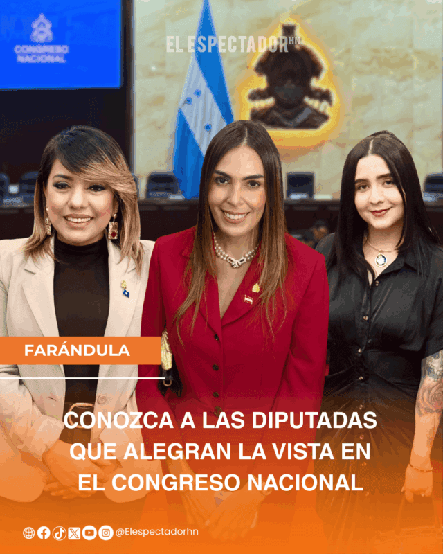 Conozca a las diputadas que alegran la vista en el Congreso Nacional