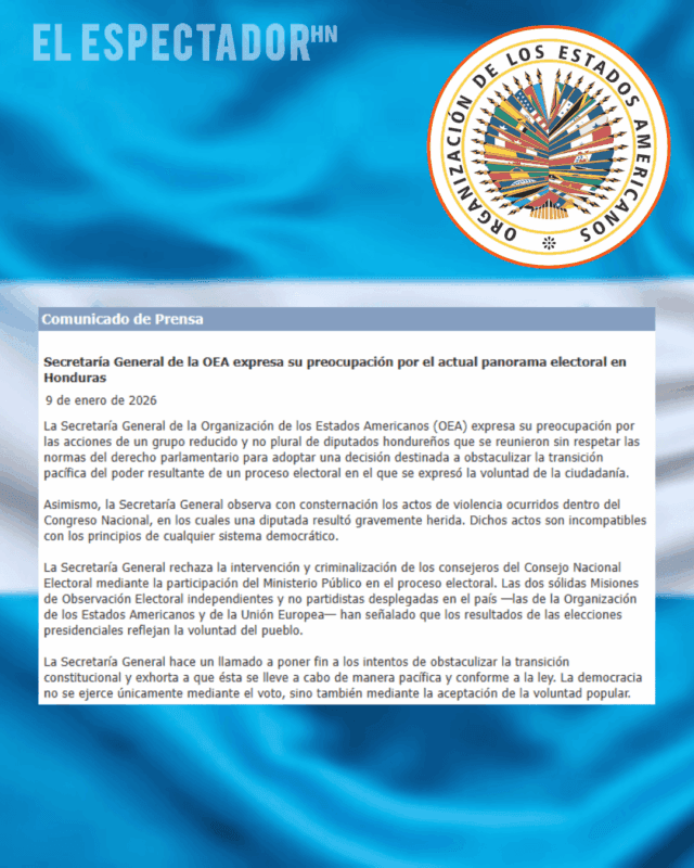 OEA exige transición pacífica tras violencia en Congreso Nacional