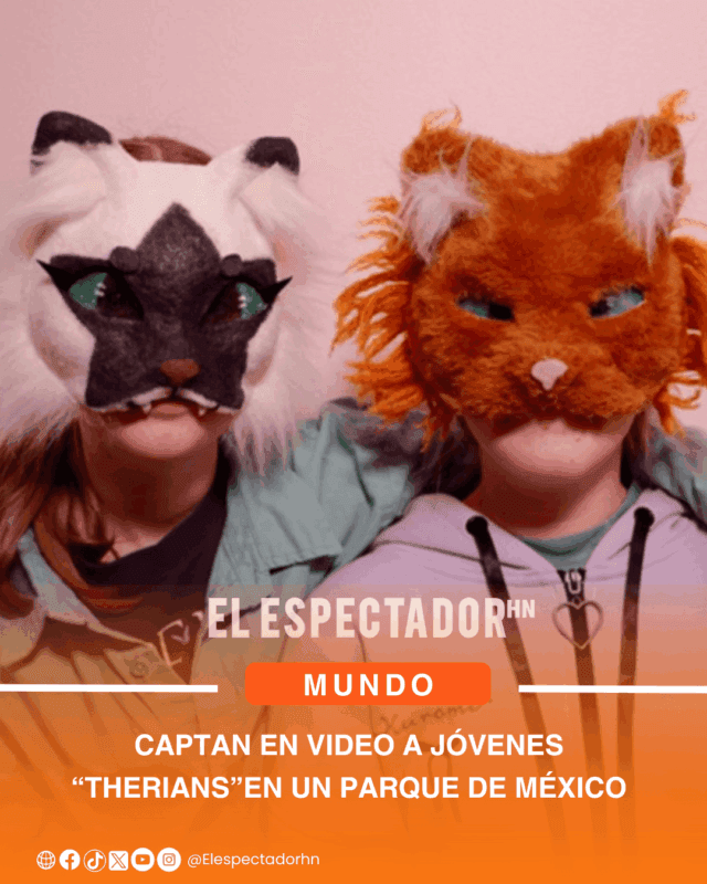 ARTES- JOEL MATAMOROS - 2026-02-17T140735 ARTES- JOEL MATAMOROS - 2026-02-17T140735