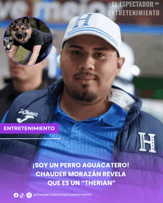 ¡Soy un perro aguacatero! Chauder Morazán revela que es un “Therian”