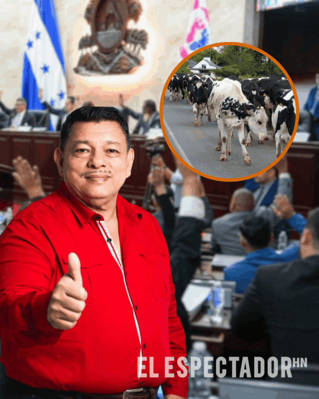 ARTES- ARI - 2026-03-13T144500