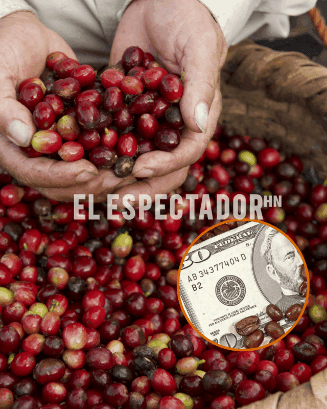 ARTES- ARI - 2026-03-17T161737