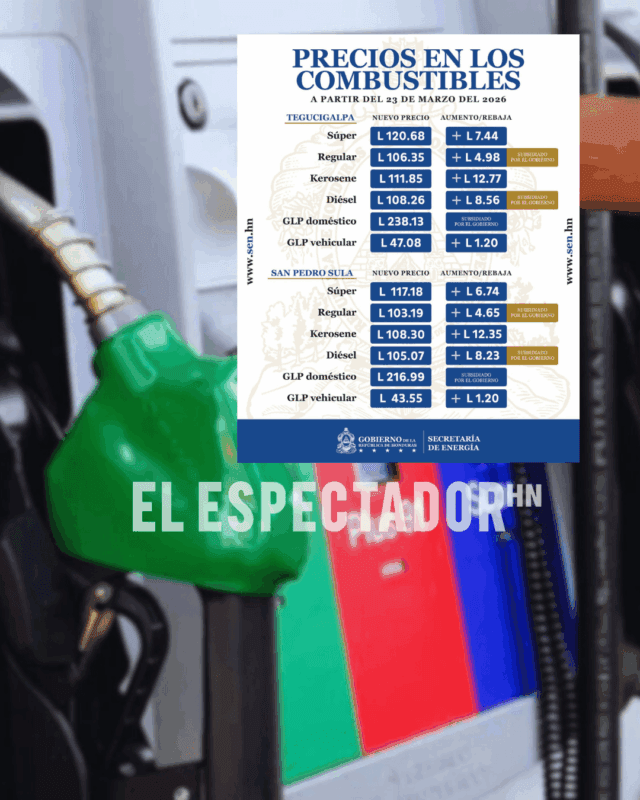 Combustibles
