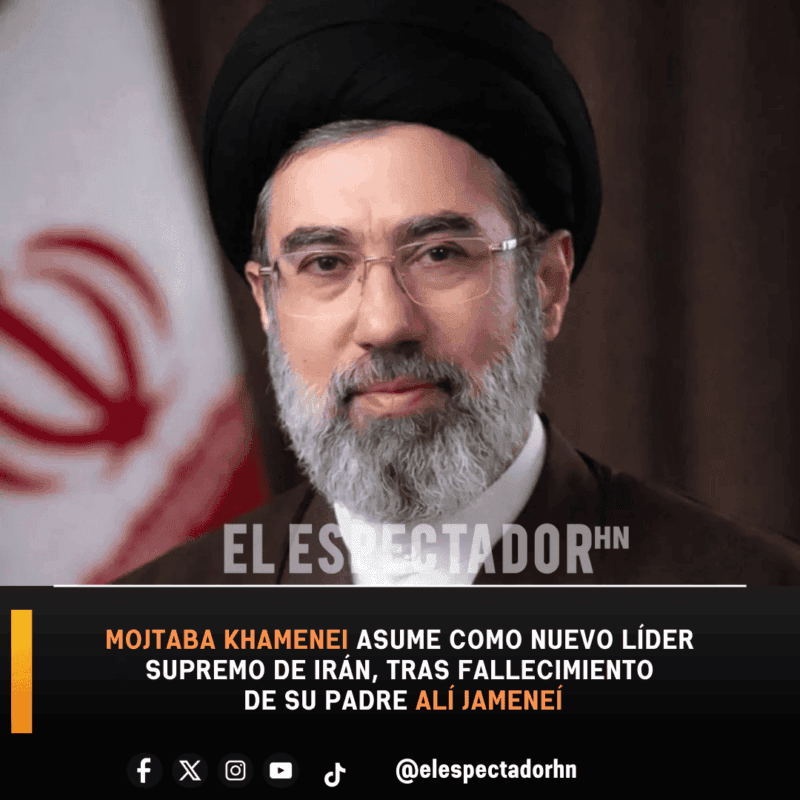 Infografica (41) (1)