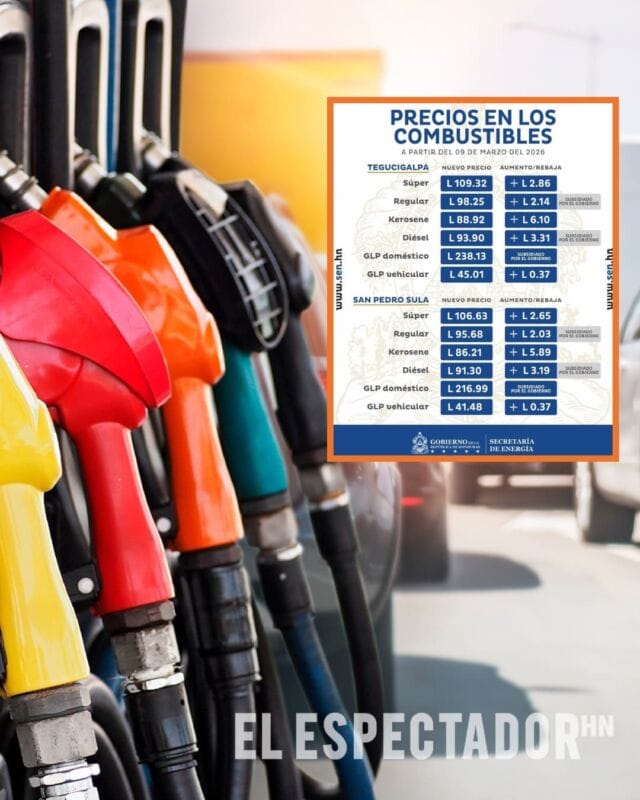 Combustibles
