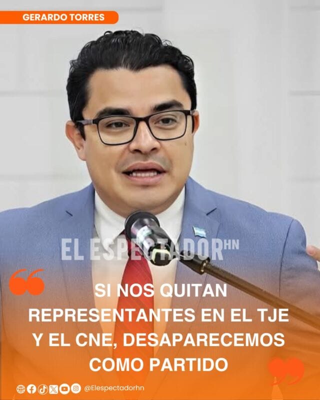 Gerardo Torres advierte sobre la representación electoral en el TJE y el CNE.
