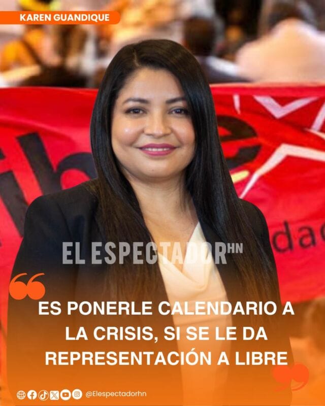 Karen Guandique advierte riesgos institucionales en proceso electoral actual del TJE.