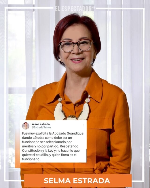 Selma Estrada exige selección de funcionarios basada en méritos y legalidad electoral.