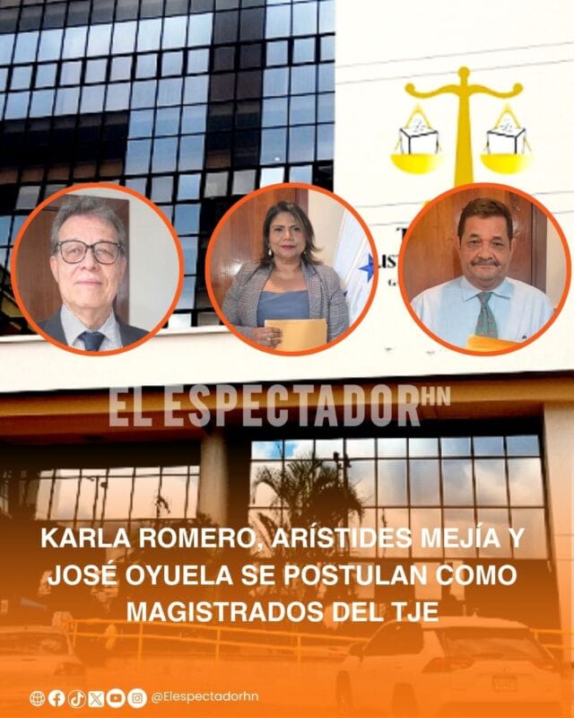Karla Romero destaca proceso de postulación al TJE basado en experiencia y requisitos legales.