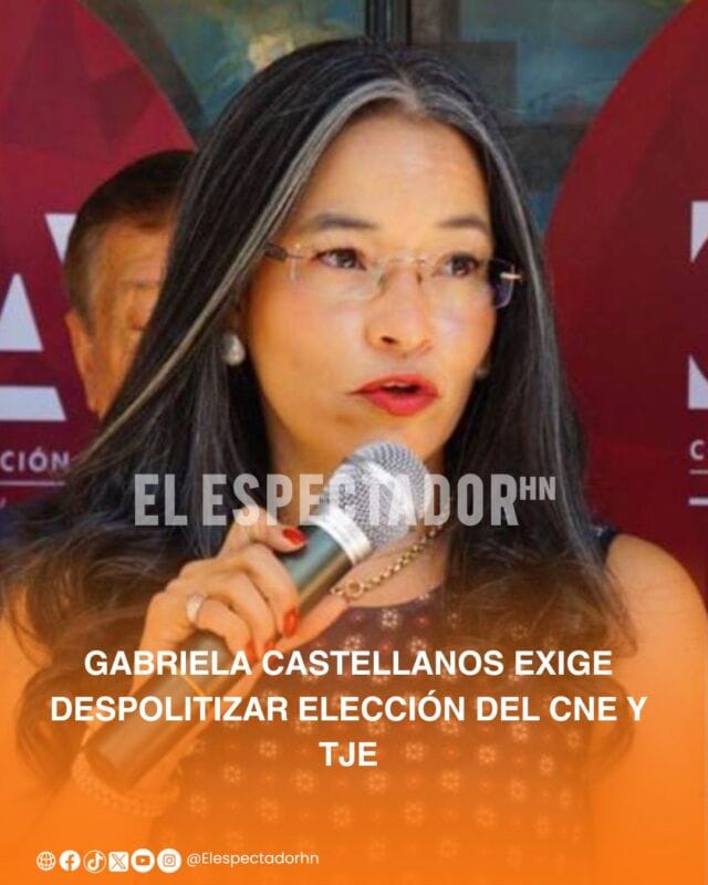 Gabriela Castellanos exige despolitizar elección del CNE y TJE para fortalecer democracia.