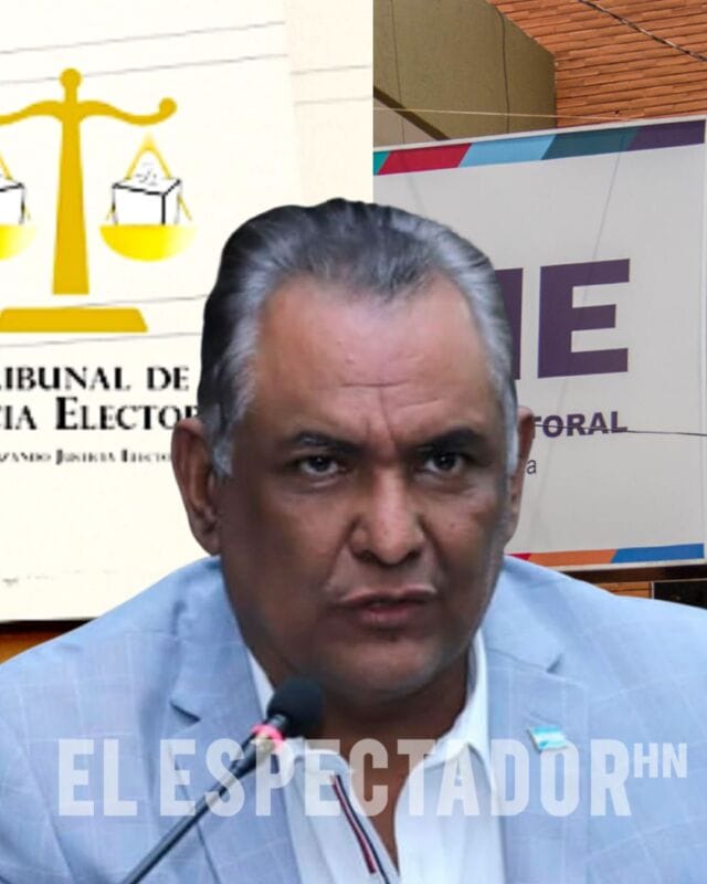 Mario Segura insiste en respetar representación política para fortalecer democracia en órganos electorales.