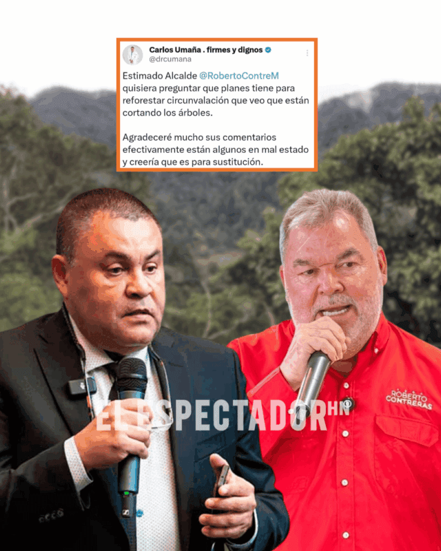 ARTES- ARI - 2026-04-24T151415