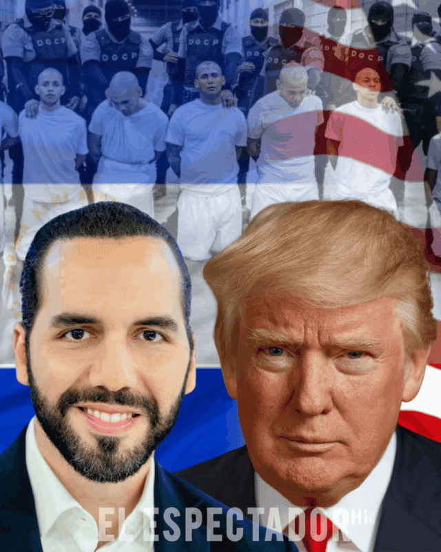 Conoce comó Nayib Bukele y Donald Trump buscaron dominar a las pandillas en El Salvador