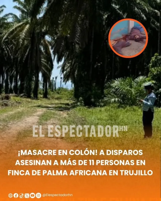 Masacre en Colón: a disparos asesinan a más de 11 personas en finca de palma africana en Trujillo
