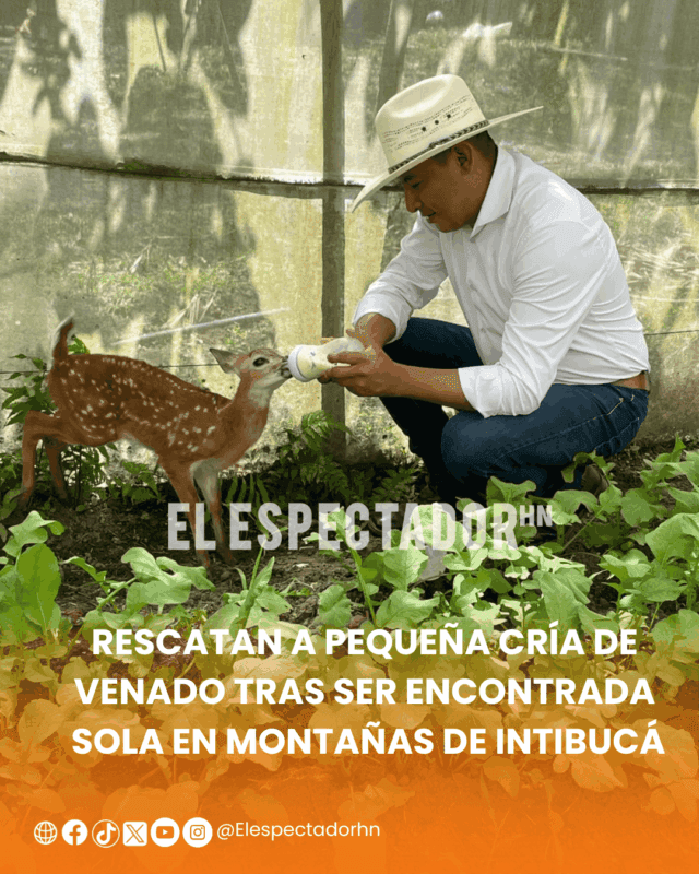 ARTES-ARI (26) (1)