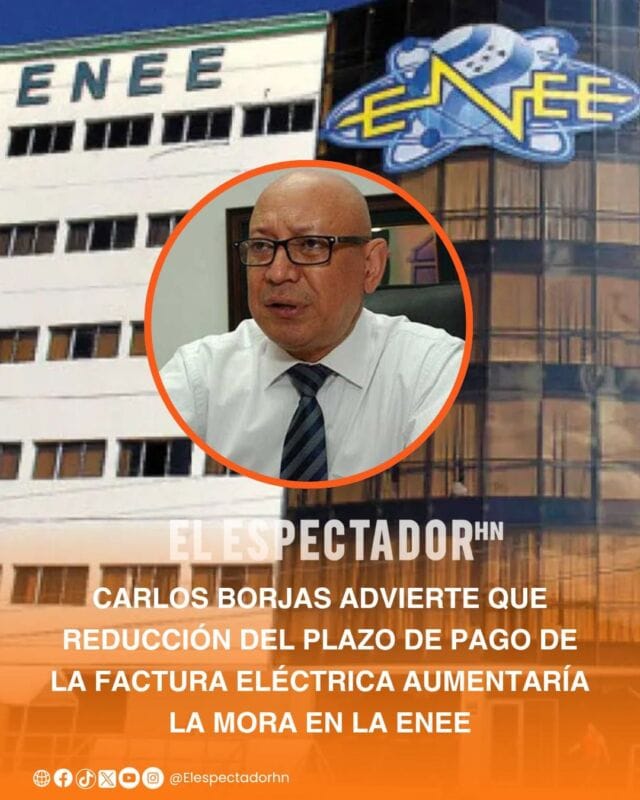 Carlos Borjas, analizó el impacto que tendría la reducción del plazo para el pago de la factura de energía eléctrica