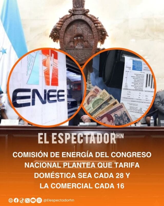La Comisión de Energía del Congreso Nacional sostuvo una reunión con representantes de la Secretaría de Energía