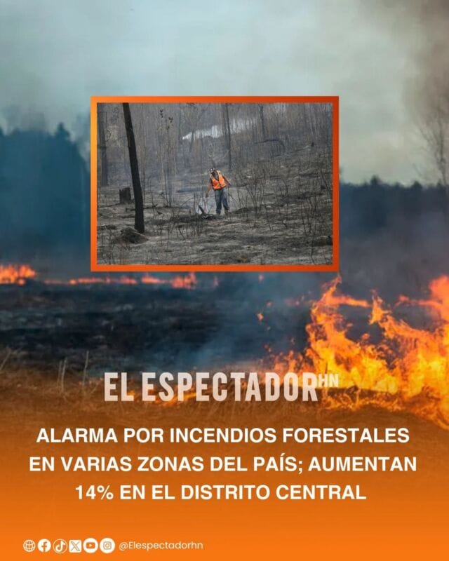 Cuerpo de Bomberos de Honduras reportó un incremento aproximado del 19% en los incendios forestales registrados a nivel nacional