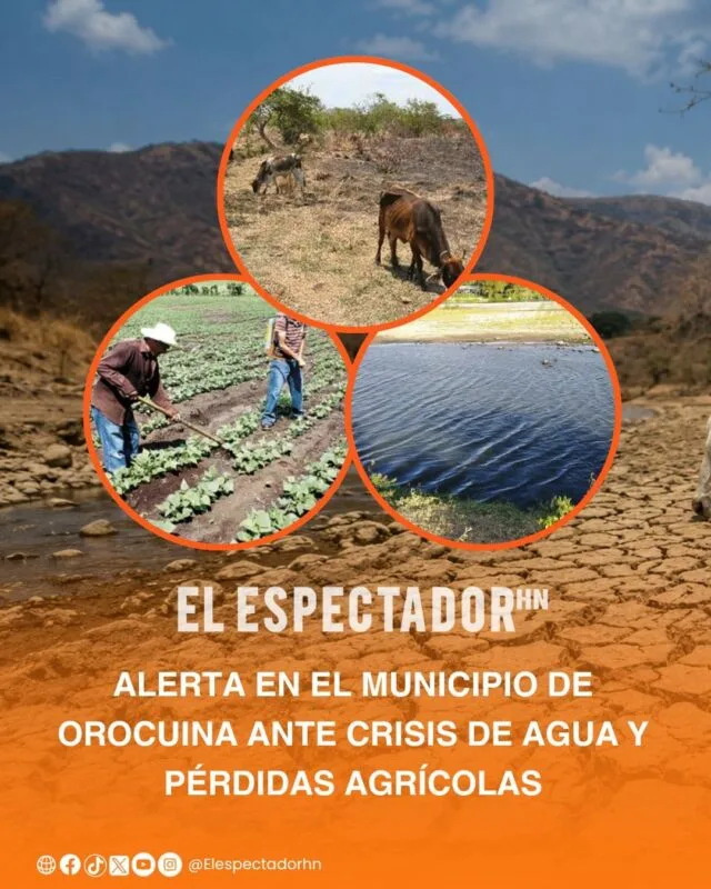Alerta en el municipio de Orocuina ante crisis de agua y pérdidas agrícolas