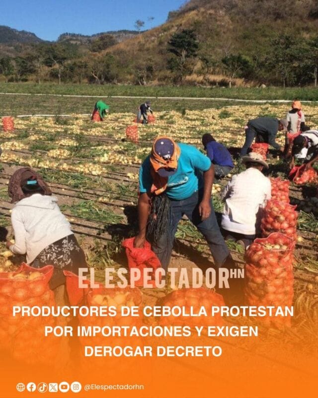 Productores de cebolla protestan por importaciones y exigen derogar decreto