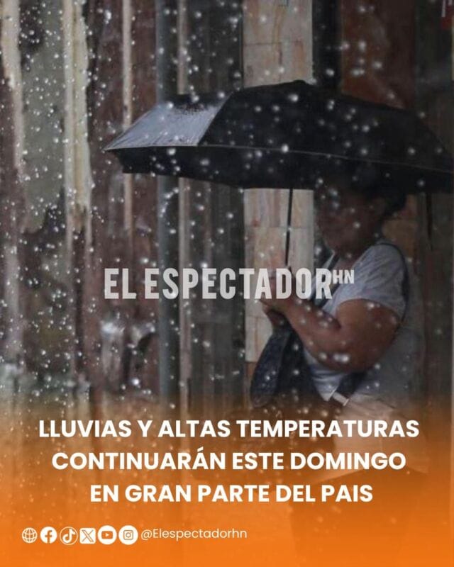 WhatsApp Image 2026-05-24 at 9.34