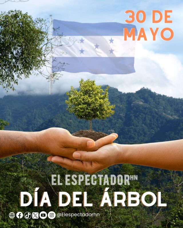 Día del Árbol
