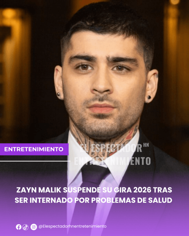 ZAYN- EL ESPECTADORHN