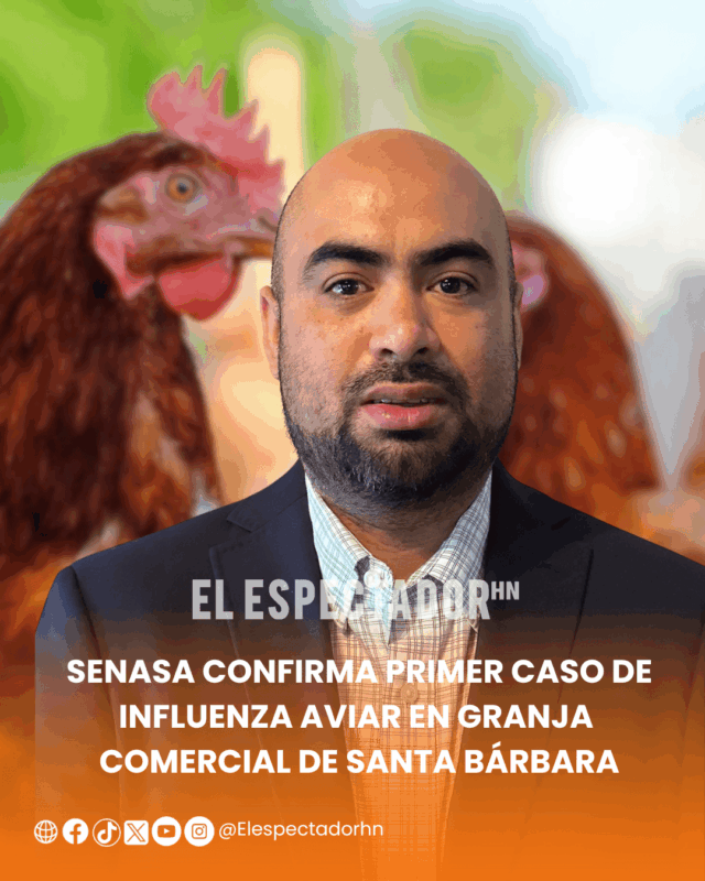 SENASA