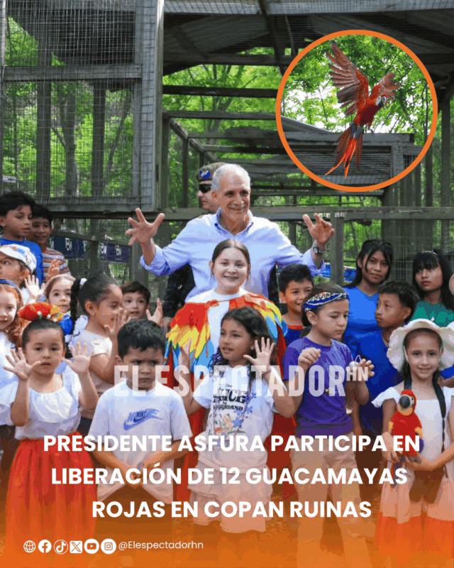 Guacamayas 