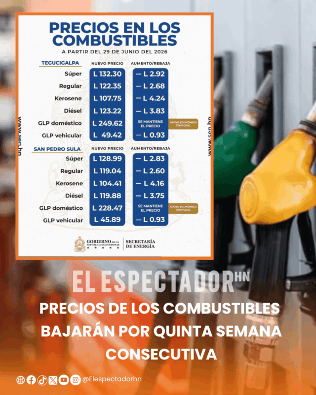 Combustibles