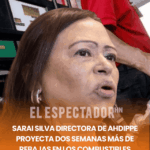 Sarai Silva directora de AHDIPPE proyecta dos semanas más de rebajas en los combustibles