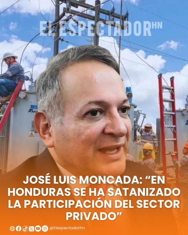 Sector privado debe aportar soluciones con control público nacional.