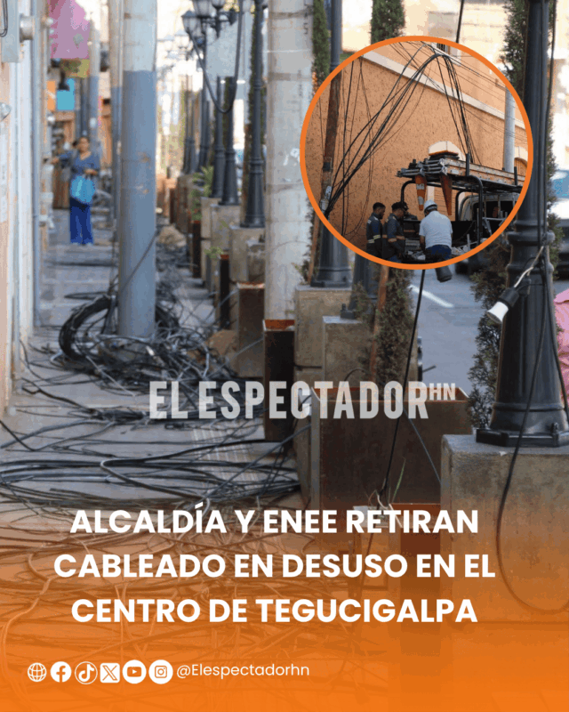 ARTES-ARI (36) (1)