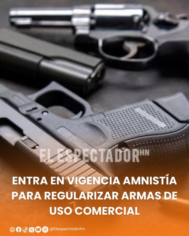 Entra en vigencia amnistía para regularizar armas de uso comercial
